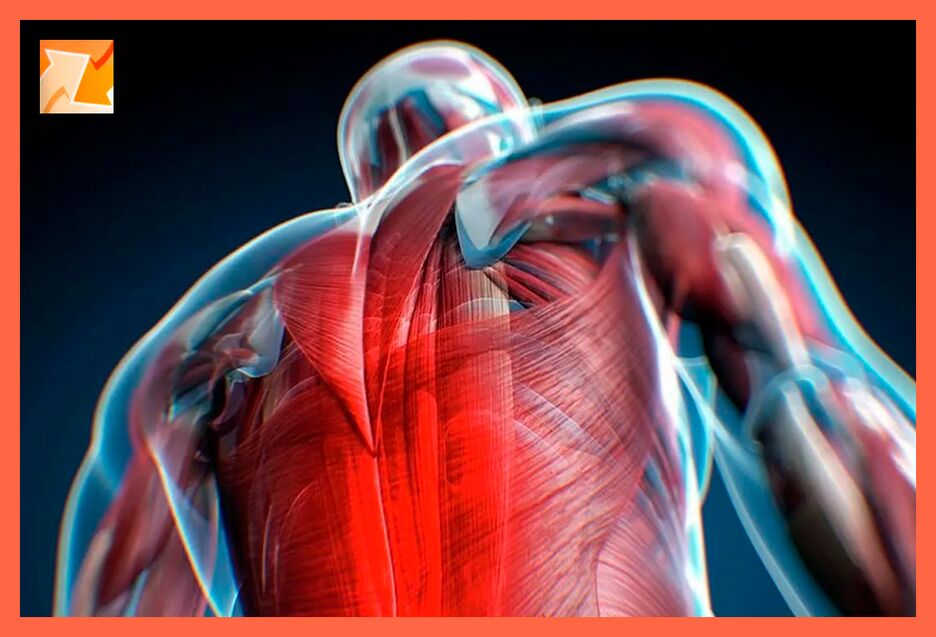 Характеристики на дискомфорт